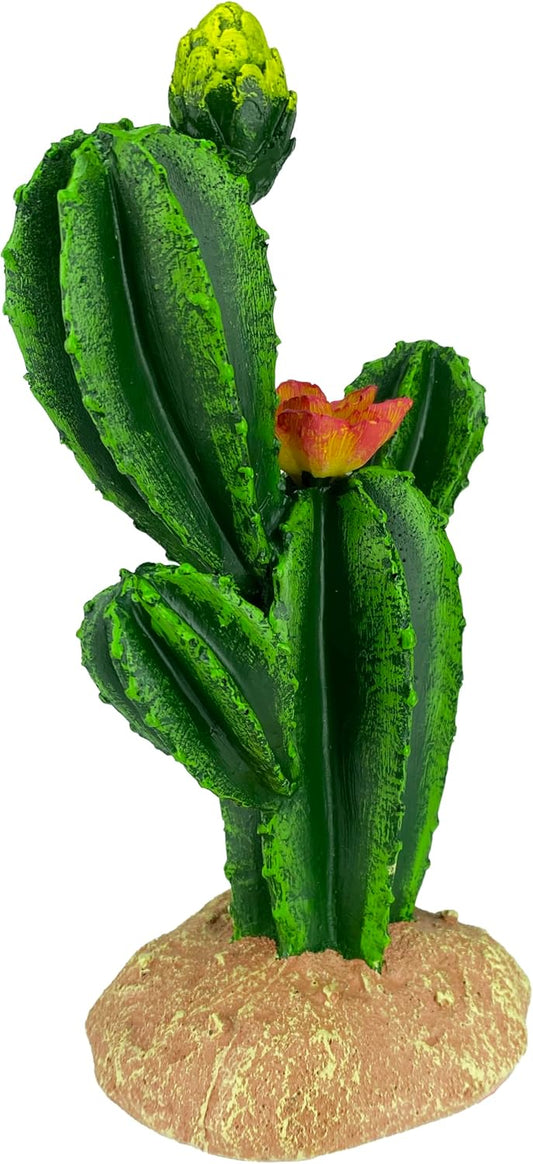 Multi Pet 48593323: Komodo Cactus Plant Flower, 9In