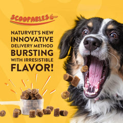NaturVet Scoopables Emotional Support for Dogs - Daily Calming Aid Promotes 24/7 Normal, Calm Behavior - Hickory Smoked Bacon Flavored