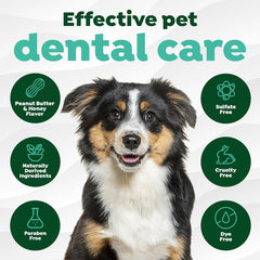 TropiClean Fresh Breath - Dog Toothpaste - Dog Teeth Cleaning Peanut Butter & Honey Flavor