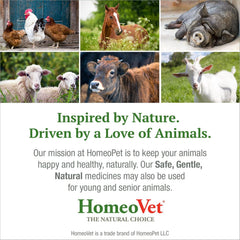HomeoPet Avian Digestive Upsets, Safe and Natural Digestive Support for Poultry and Pet Birds, Bird Supplement, 15 Milliliters