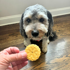 Exclusively Dog Cookies Sandwich Cremes Vanilla Flavor Dog Treats for Medium and Large Dogs, Natural and Made in The USA, 8 oz
