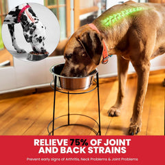 SPOT Hi Rise Single Diner Elevated Dog Feeder, 2qt Stainless Steel Bowl, Durable Wire Stand, Hygienic, Easy to Clean, Promotes Proper Posture for Tall Pets, Ideal for Medium and Large Breeds