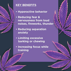 Nulo Functional Calming Dog Supplement, Made with Organic Hemp Seed and Ashwagandha Root, Helps Reduce Dog Stress and Promotes Balanced Behavior, 90 Soft Chews