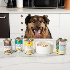 Weruva Classic Dog Food, Paw Lickin’ Chicken with Chicken Breast in Gravy (Pack of 12)