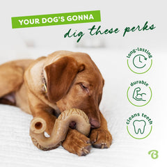 Benebone Tripe Bone Durable Dog Chew Toy for Aggressive Chewers, Real Tripe, Made in USA