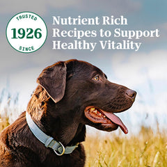 Nutro Natural Choice Adult Dry Dog Food, Lamb and Brown Rice Recipe