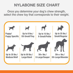 Nylabone Flavor Frenzy Dental Bone Power Chew Toy, Dog Toys for Aggressive Chewers, Philly Cheesesteak, X-Large - 50+ lbs, 1 Count