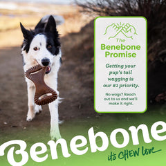 Benebone Dental Durable Dog Chew Toy for Aggressive Chewers, Real Peanut, Made in USA