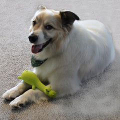 Spot Latex Animals Dog Toy Assorted, 1ea