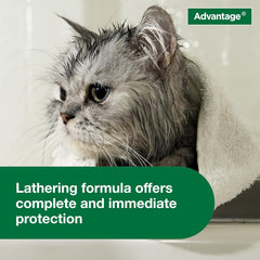 Advantage Cat Flea & Tick Shampoo for Kittens & Adult Cats | Kills Fleas & Ticks | 8 oz.