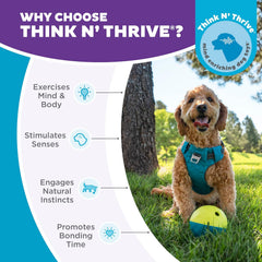 Nina Ottosson Treat Tumble Interactive Puzzle Ball Dog Toy, Level 1 Beginner, Blue, Small