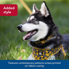 Coastal Pet - Ribbon - Adjustable Dog Collar with Metal Buckle, Red with Paws