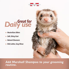 Marshall Pet Products Natural pH Balanced, Tearless Original Ferret Deodorizing Shampoo with Baking Soda, Baby Fresh Scent, 8 oz