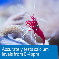 API CALCIUM TEST KIT Saltwater Aquarium Water 1-Count