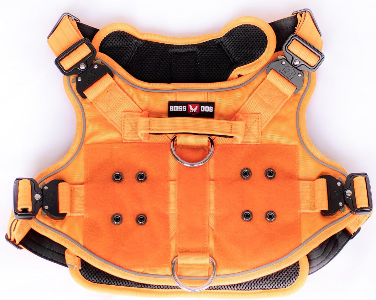 Boss Dog Tactical Harness, Orange
