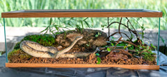 Galápagos Tropicoco® Husk Bedding for Reptiles, Amphibians, & Terrariums High Absorbency, Eco-Friendly, Dust-Free Perfect for Water Dragons, Tortoises, Snakes, & More, 8QT Compressed Brick