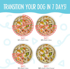 Weruva Meals 'n More Natural Wet Dog Food, Jammin' Salmon Plus Skin & Coat Health (Pack of 12)
