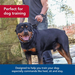 Titan - Coastal Pet Titan Dog Prong Training Collar - Rust-Resistant and Prong Metal Training Chain Collar for Dogs - Quality Supplies