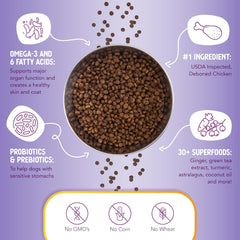 Health Extension Little Bites Chicken & Brown Rice Dry Dog Food - Natural with Probiotics and Superfoods for Teacup, Toy & Small Breeds