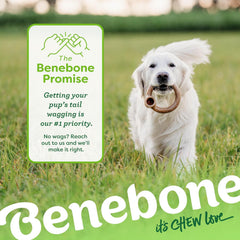 Benebone Ring Durable Dog Chew Toy for Aggressive Chewers, Real Bacon, Made in USA