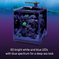 Coralife Aquarium Fish Tank Marine Salt Water Clip-On LED Light