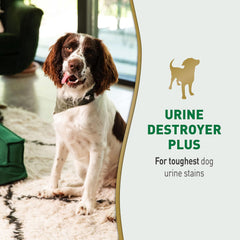 Nature’s Miracle Urine Destroyer Plus Dog, 32 Ounces, Enzymatic Formula, Ready-to-Use