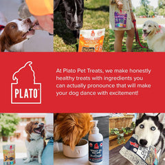 Plato Pet Treats Thinkers - Meat Sticks for Dogs - Limited Ingredient Treats with EPA and DHA to Support Skin, Coat, and Brain - Air-Dried - Lamb