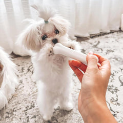 Nylabone New Puppy Starter Kit, 2 Chew Toys and 1 Natural Treat for Puppies, Bacon & Chicken Flavor