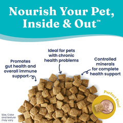 Solid Gold Dry Dog Food for Adult & Senior Dogs - with Whole Grains, Oatmeal, Pearled Barley, & Fish - Potato Free, High Fiber Adult Dog Food Dry Kibble for Sensitive Stomach & Immune Support 4-lb