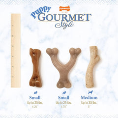 Nylabone Gourmet Style Femur Bone Strong Chew Toy for Puppies, Bacon Flavor, Small - Up to 25 Ibs, 1 Count