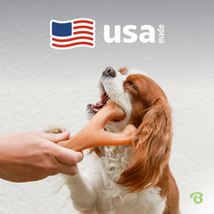 Benebone Wishbone Durable Dog Chew Toy for Aggressive Chewers, Real Peanut, Made in USA, for Any breed