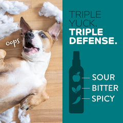 TropiClean No Chew Spray for Dogs, Better Than Bitter Apple Spray, Safe & Natural Chew + Lick Deterrent, Protect Home 8 oz