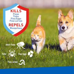 Adams Plus Flea & Tick Spray for Dogs & Cats