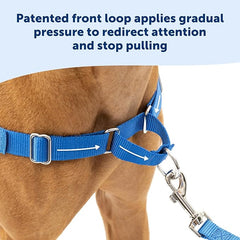 PetSafe Easy Walk No-Pull Dog Harness - The Ultimate Harness to Help Stop Pulling - Take Control & Teach Better Leash Manners - Helps Prevent Pets Pulling on Walks, Small