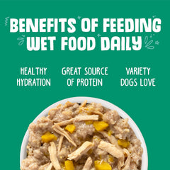 Weruva Classic Dog Food, That's My Jam! with Chicken & Lamb in Gelée