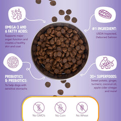 Health Extension Grain Free Salmon & Sweet Potato Dry Dog Food - Whole Foods Ingredients Formula with Omega 3 & Antioxidants for All Life Stages Dogs
