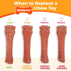 Nylabone Original Bone Power Chew Toy for Dogs, Durable & Tough Dog Toys for Aggressive Chewers, Peanut Butter Flavor