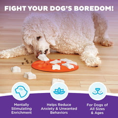 Nina Ottosson Dog Smart Treat Puzzle Enrichment Toy, Level 1 Beginner, Orange