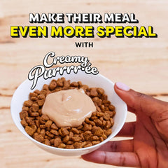 Temptations Creamy Puree Squeezable Lickable Wet Cat Treats with Chicken