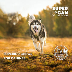 Supercan Bullysticks 6" Beef Braided Gullet Stick 1 ct