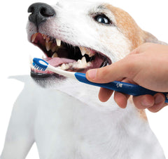 Nylabone Advanced Oral Care Puppy Dental Kit Puppy