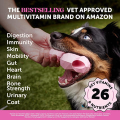 Pet Honesty Multivitamin Dog Supplement, Glucosamine Chondroitin for Dogs, Probiotics, Omega Fish Oil, Dog Supplements & Vitamins, Dog Vitamins for Skin and Coat Allergies, (Chicken 90 ct)