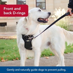 Coastal Pet Walk Right Front-Connect No-Pull Padded Dog Harness - Adjustable & Comfortable Dog Harness - Small & Large Breed Fit - Quality Pet Supplies - Black