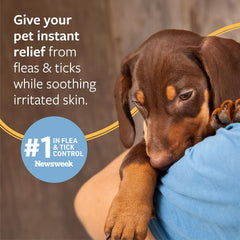Veterinary Formula Flea and Tick Shampoo for Dogs and Cats