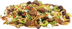 Zilla Reptile Munchies Omnivore .7 Ounces