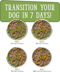 Weruva Dogs in The Kitchen, Lamburgini with Lamb & Pumpkin Au Jus Dog Food (Pack of 12)