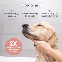 Veterinary Formula Clinical Care Hot Spot & Itch Relief Medicated Shampoo for Dogs and Cats – Helps Alleviate Sensitive Skin, Scratching, and Licking of Coat