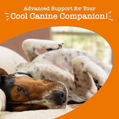 Zesty Paws Calming Chews for Dogs - for Everyday Stress, Relaxation, Composure, and Separation, 90 Count, Turkey - Melatonin