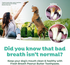 TropiClean Fresh Breath Oral Care Kit - Soft Bristle Finger Toothbrush - Dog Tooth Brushing Kit -