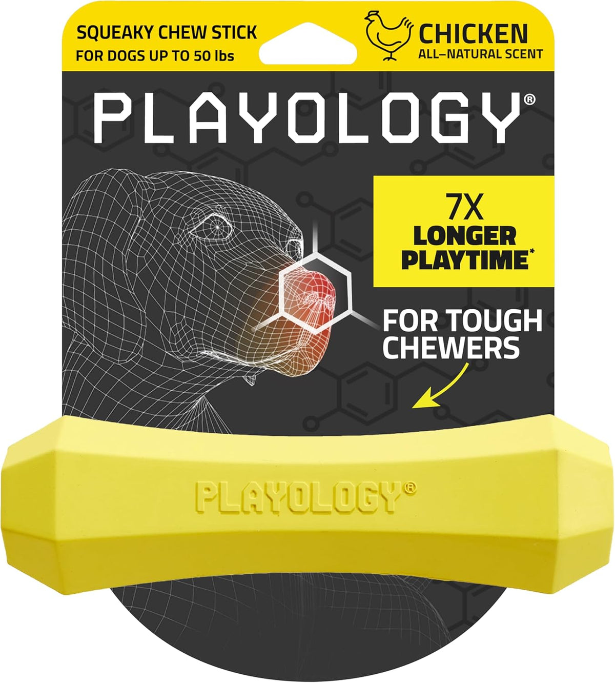 Playology Squeaky Chew Stick Dog Toy